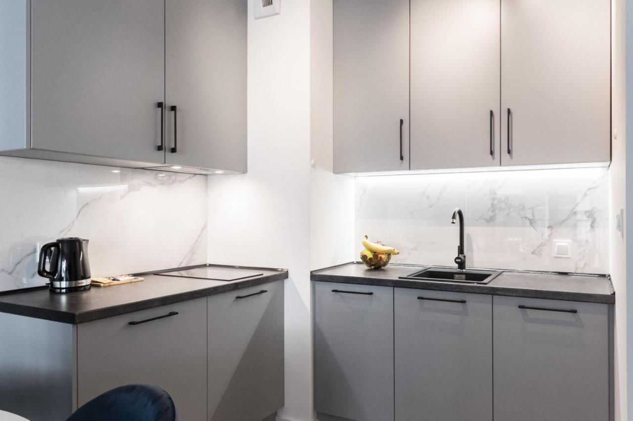 Apartamenty Gasiorowskich 4 พอซนาน ภายนอก รูปภาพ